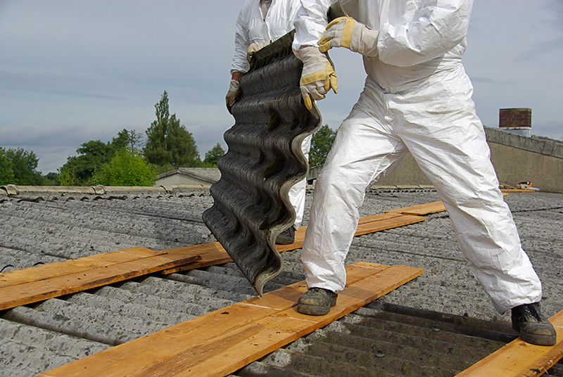 Commercial Asbestos & Mold Services